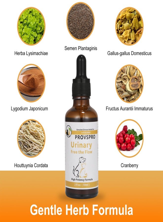provspro Dogs and Cats Bladder Crystals Treatment or Stone, Bladder Kidney Stones Dissolver for Pet, Cat Dog Urinary Tract Supplements for Kidney and Bladder Stones, Urinary Free The Flow, 2 fl oz (59ml) - Image 3